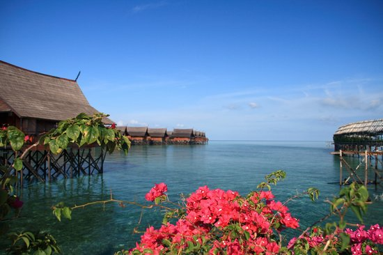 爱和失望都能让人成长